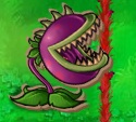 Cardboard Chomper