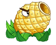 Pineapple-pult, who fired pineapple rockets