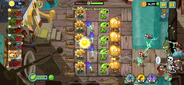 Level 11