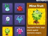 Mine Fruit