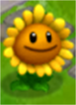 For Birthdayz, I got images of EVERY SUNFLOWER (except the all-stars  sunflower (looks too similar to pvz2 sunflower) and sunflower figure) : r/ PlantsVSZombies