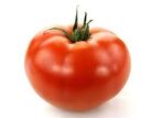 Tomato 2