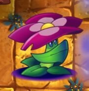 A Grimrose with no stamens