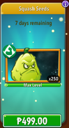 Squash's seeds in the store (12.2.1, Promoted)