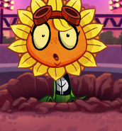 Solar Flare's expression when a legendary zombie is played