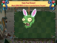 Springening Señor Piñata