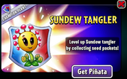 Sundew Tangler in an advertisement (Champion Plant)