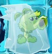 Frozen Primal Peashooter