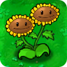Twin Sunflower1.png