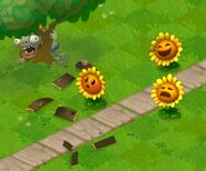 Three Sunflowers and a Barrel Zombie seen in a promo of the game