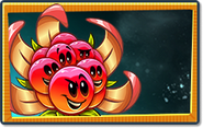 BoomBerry's seed packet
