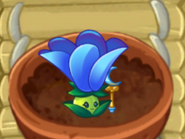 A Moonflower in the middle of its Zen Garden watering animation