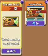 Pumpkin's seeds in the store