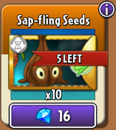 Sap-fling's seeds in the store