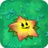 StarfruitO