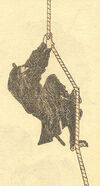 320px-Hokusai-sketches---hokusai-manga-vol6-crop