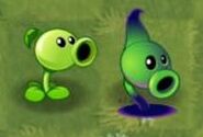 Peashooter with his shadow counterpart