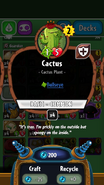 Cactus' statistics