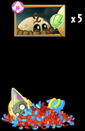 Obtaining Levitater's seed packets from a piñata (10.5.2)