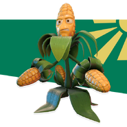 Kernel Corn on the official website