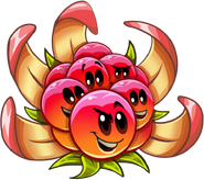 HD Boomberry