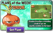 Stunion featured as Plant of the Week