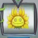 Sunflower Queen's icon