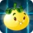 Solar Tomato2