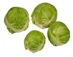 Brussels Sprout