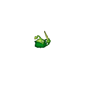 Cranesbill Fencer's attack animation