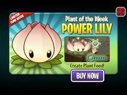 Power Lily featured as Plant of the Week