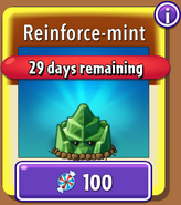 Reinforce-mint in the store (10.8.1)