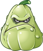 La imagen debe mostrar el chayote