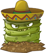 HD Grave Buster with Sombrero costume