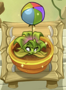 A boosted Boom Balloon Flower in the Zen Garden