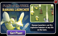 Banana Launcher featured as Plant of the Week