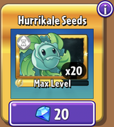 Hurrikale's seeds in the store (Gold, 9.6.1)