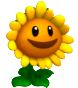 Sunflower Plants Vs Zombies png download - 1460*1655 - Free Transparent Pop  Art png Download. - CleanPNG / KissPNG