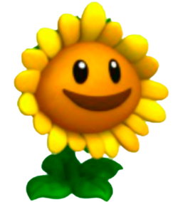 Sunflower, Plants vs. Zombies Wiki