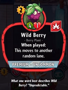 Wild Berry's statistics