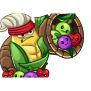 Cornucopia's card image