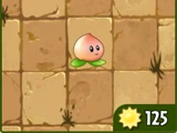 Heavenly Peach