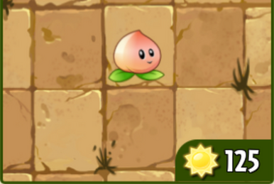 Morning Glory (Chinese version of Plants vs. Zombies 2)