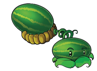 3watermelon 3watermelon