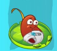 Chili Bean on a Lily Pad