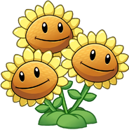 Sunflower line, Plants vs. Zombies Wiki