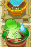 Bonk choi regado 1.gif