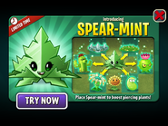 Spear-mint in an ad