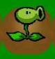 Alpha concept art of the Peashooter (notice that it does not have leaves behind its head) (Plants vs. Zombies)