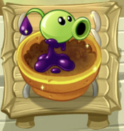 A boosted Goo Peashooter in the Zen Garden (10.5.2)